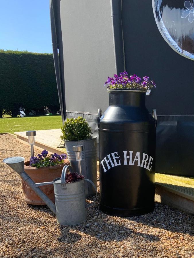 Bramble Glamping Luxe tent